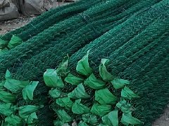 一.篩.濾網系列，乙烯網
