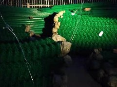 三.功能網系列.鐵窗紗