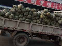 三.功能網系列.印刷網